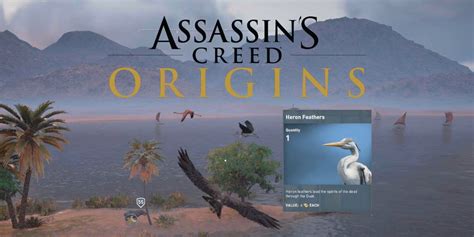 assassin's creed origins heron feathers.